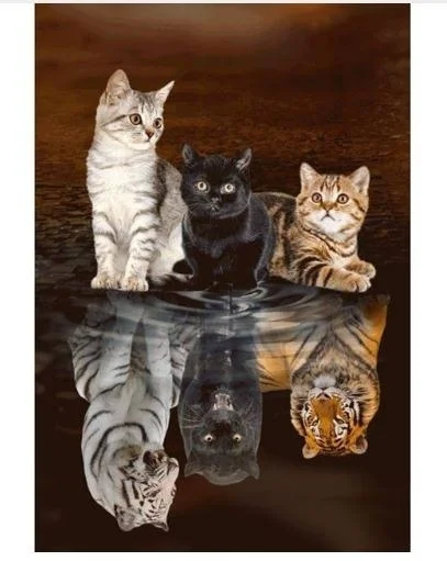 5d Diy Diamond Painting Cross Stitch Reflected Cat Tiger Full Drill Embroidery Needlework Rhinestone Home Decor Christmas Gift