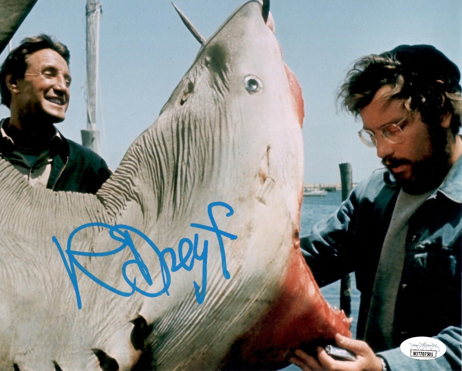 Richard Dreyfuss autographed signed 8x10 Photo Poster painting Jaws JSA Witness Hooper