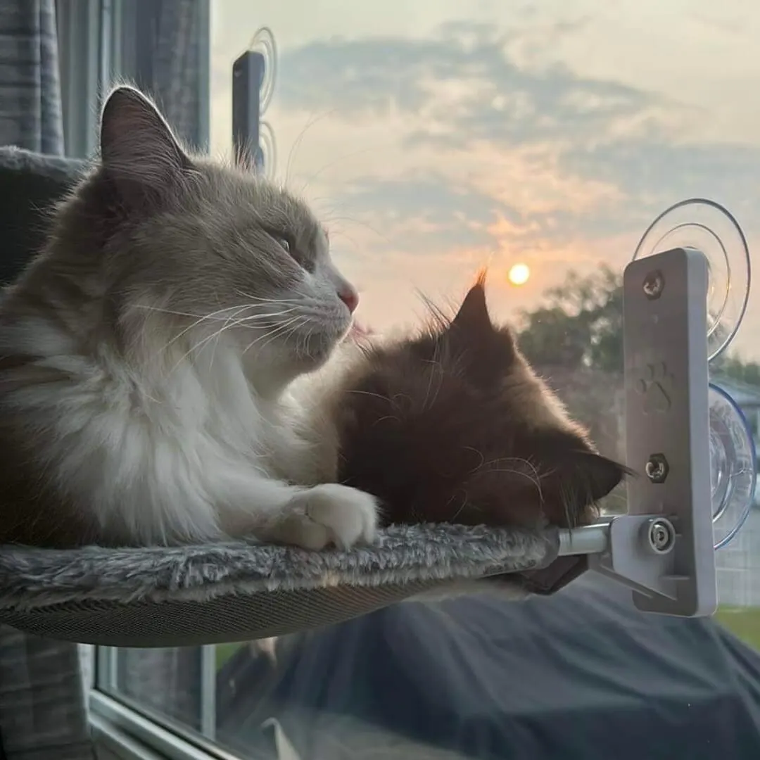 Nymock&trade; Foldable Cat Hammock