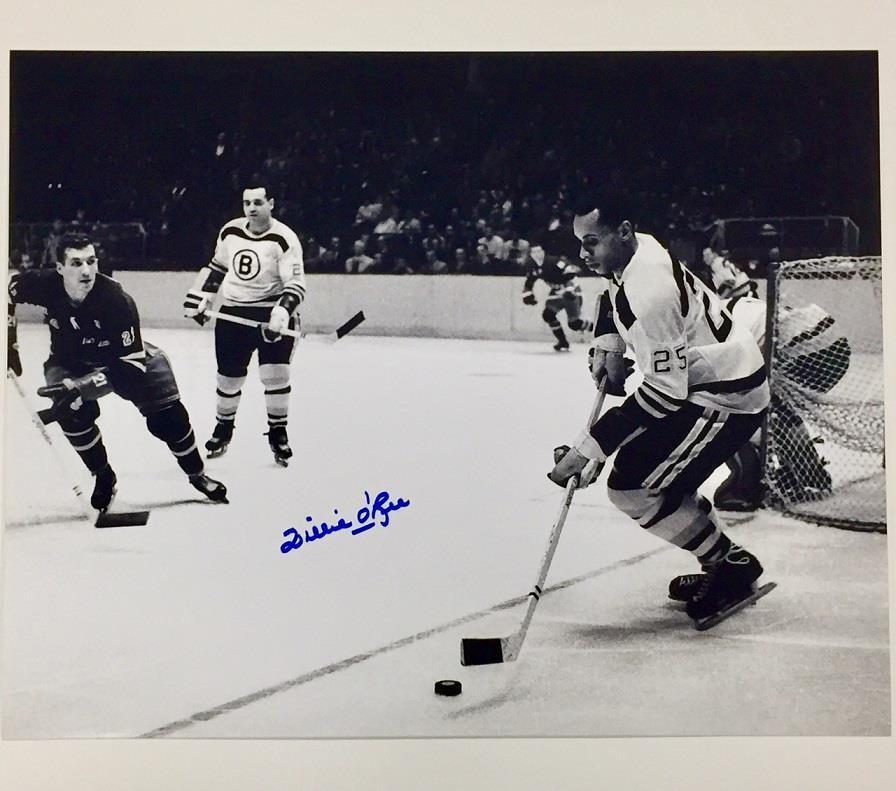 WILLIE O'REE Autograph BOSTON BRUINS Signed 11x14 Photo Poster painting #3 w/ OC COA + Hologram