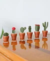 Cactus Succulent Themed Chess Set | Portable Magnetic Travel Chess