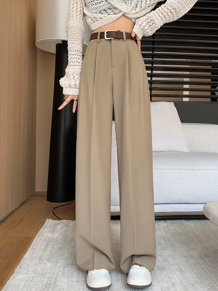 Toloer Narrow Version Wide Leg Pants Female Spring And Summer 2024 New High Waist Hanging Feeling Straight Tube Small Senior Sense Pressure Pleated Suit Pants-Outfit Ideas