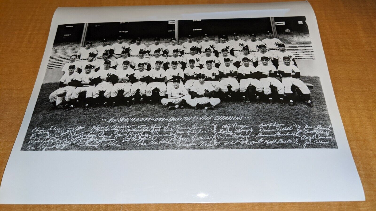 1949 World Champions New York Yankees Team Photo Poster painting