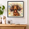 (US Only)Paint By Numbers Kit On Canvas DIY Oil Art Dachshund Picture Home Decor40x40cm