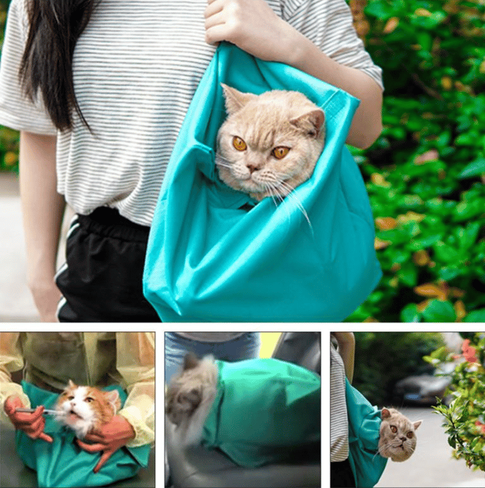 Cat Carry Pouch