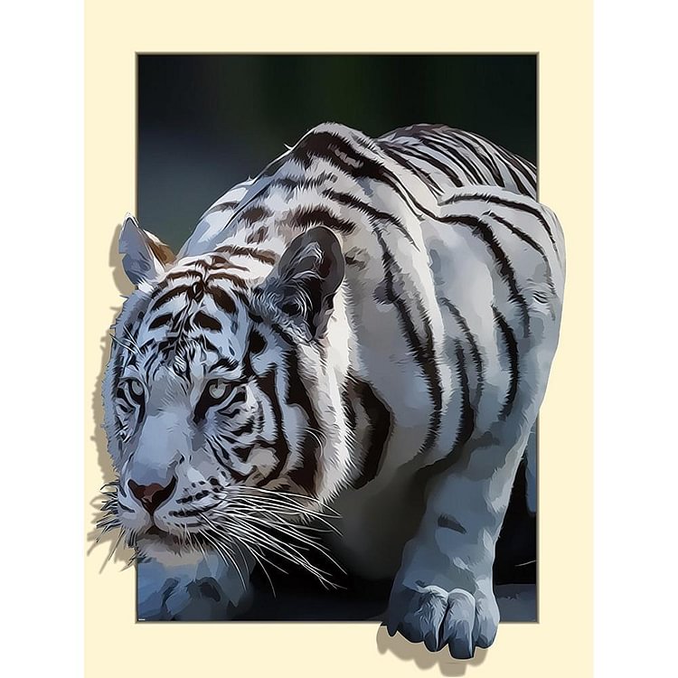 White Tiger - Round Drill Diamond Painting - 35x45cm(Canvas)