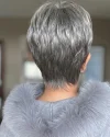 Pixie Cut Straight Layered Hair Gray Salt and Pepper Short Wigs