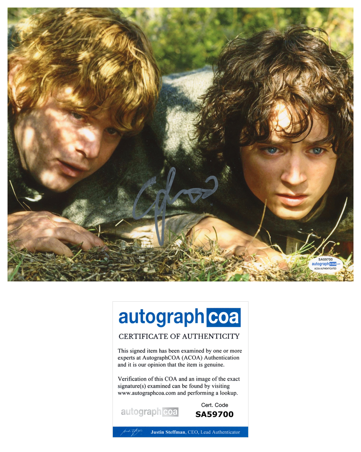 Elijah Wood Signed Autograph 8x10 Photo Poster painting The Lord of The Rings ACOA COA