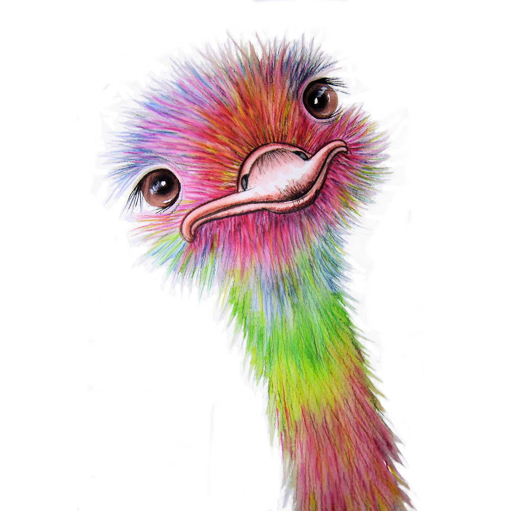 Рисуем страуса цветными карандашами