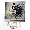 Piano Girl-Paint by Numbers Acrylic Painting 40*40cm