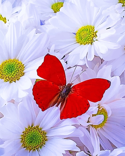 

Beautiful White Flowers Red Butterfly – Paint By Numbers - 40*50CM, 501 Original