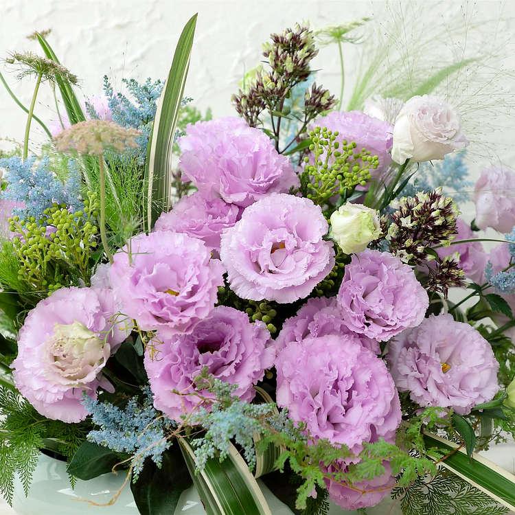 Lisianthus / Eustoma Grandiflorum Seeds - 	Thornless Rose