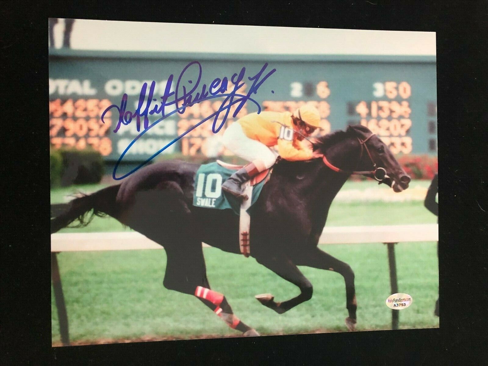 Laffit Pincay Signed Autographed Photo Poster painting - 1984 Kentucky Derby Winner Swale - COA