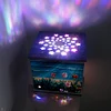 uk.everydayedeals Diamond Painting Luminous Portable Vacuum Suction Pen Accessories Tool - Sea Tulips