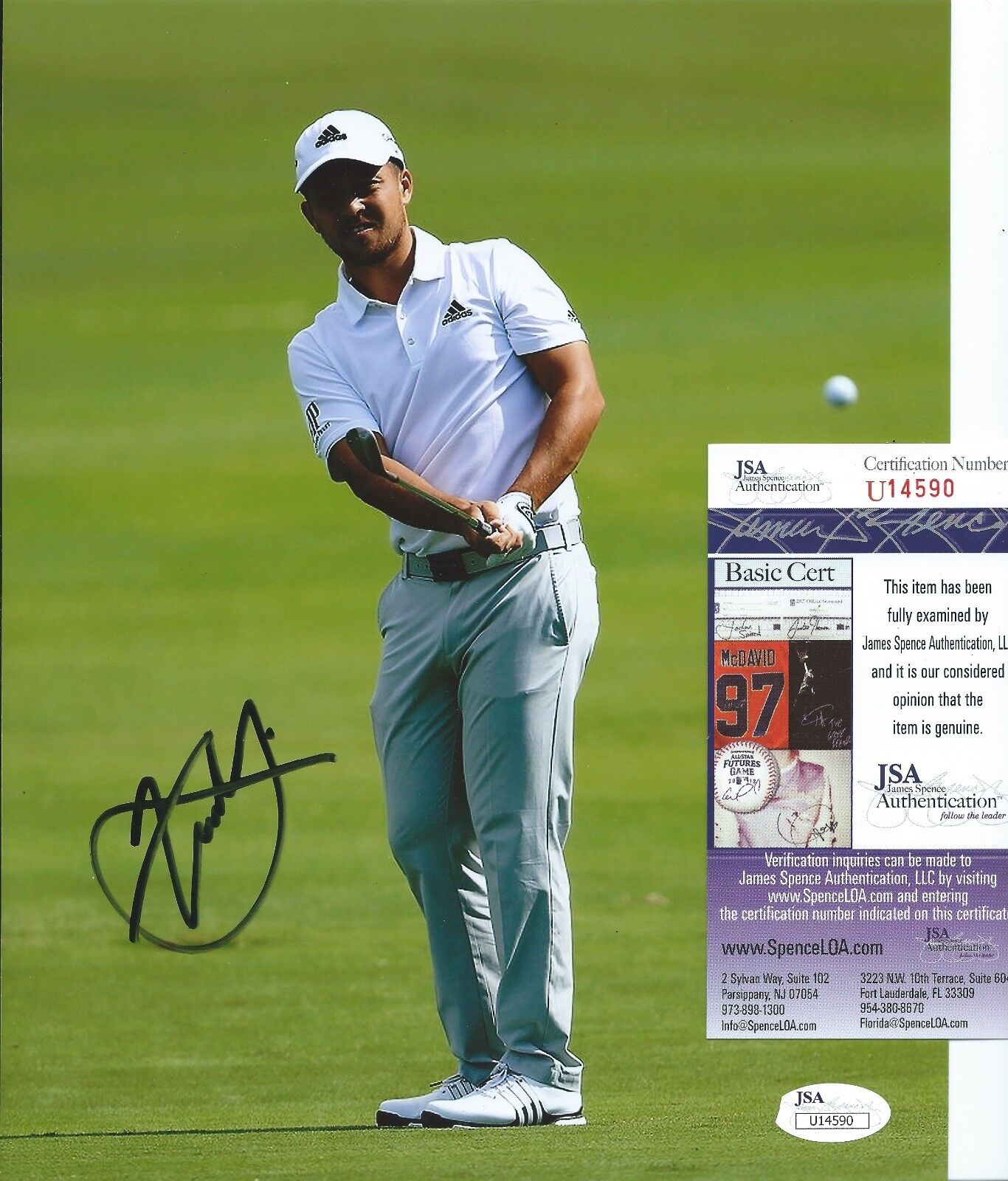 XANDER SCHAUFFELE Signed Autographed 8x10 Photo Poster painting PGA Golf ROY Masters JSA COA 9