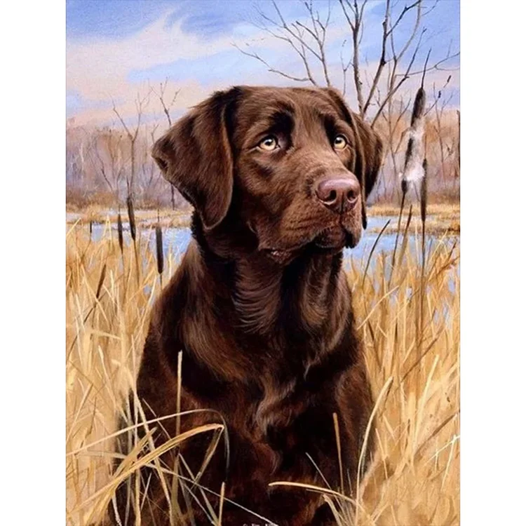 Full Round Drill Diamond Painting -Lawn Puppy - 30*40cm