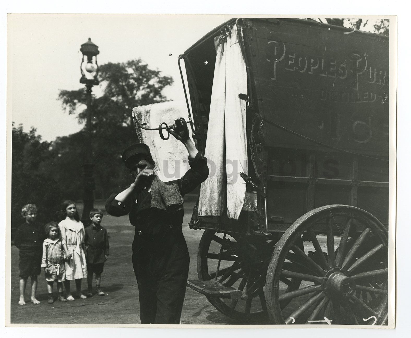 Ice Delivery Wagon - Vintage 8x10 Photo Poster paintinggraph - Chicago, IL