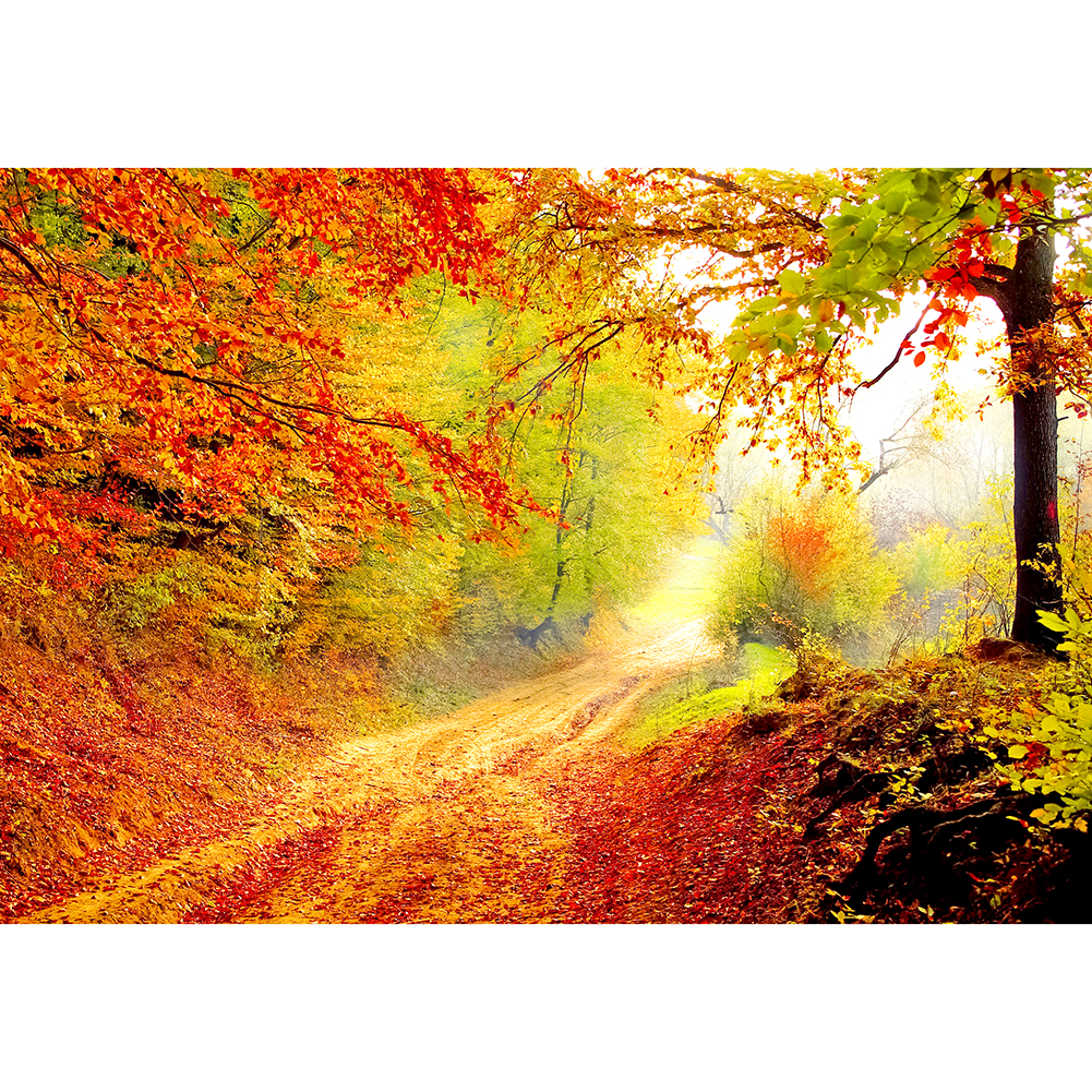 

Sunshine Grove Road - 1000 Pieces Jigsaw Puzzle, 501 Original