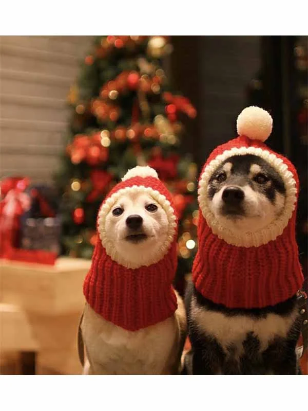 Dog Santa Hat Winter Knitted Dog Headband For Neck Ears-elleschic
