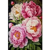 (Big Size)Peony - 11CT Stamped Cross Stitch - 40*60cm - Flower