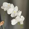 9 Heads Pink Purple Velvet Orchid Autumn Decor Artificial Flower