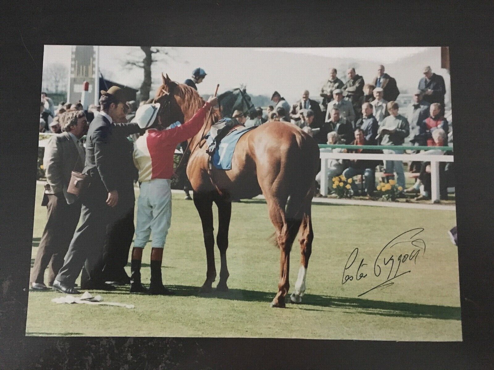 LESTER PIGGOTT - LEGENDARY JOCKEY - SIGNED Photo Poster painting - SPECIAL DAWN THIRSK 1994