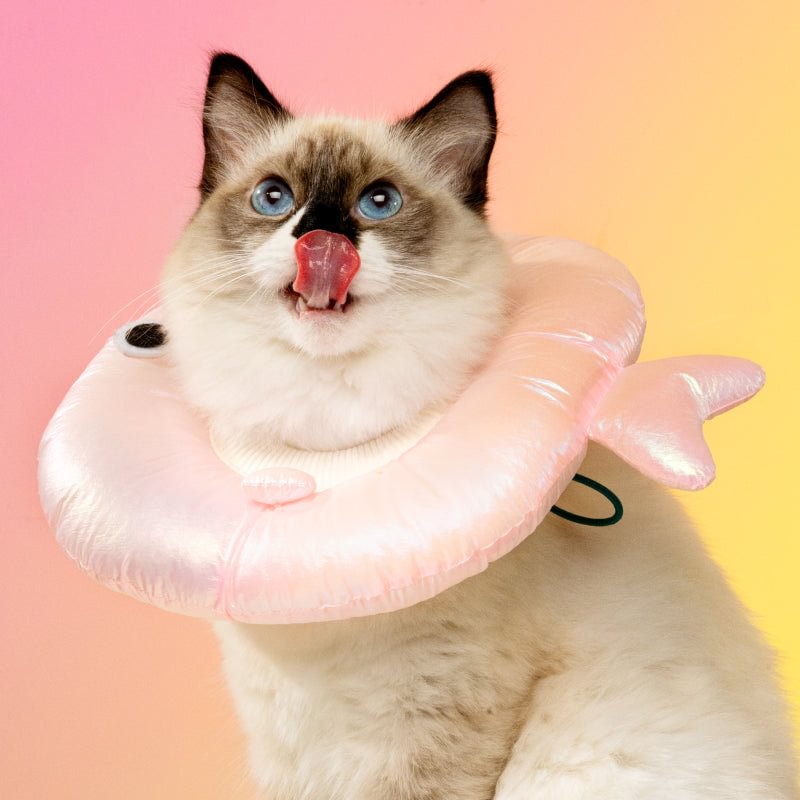 Mewoofun Adjustable Laser Fabric Cat Recovery Collar | Bubble Fish