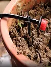 500Pcs Fixing Pole Garden Ground Rod Hose Support Rod for Vegetable Herbs Garden
