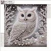 Diamond Painting-DIY Crystal Rhinestone Owl