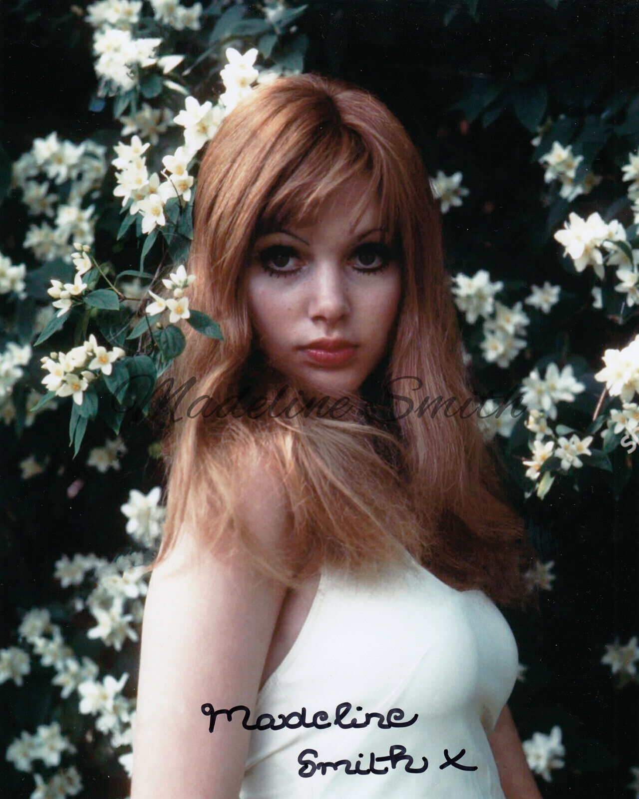 Madeline Smith Officially Signed Photo Poster paintinggraph MISC09