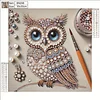 Diamond Painting-DIY Crystal Rhinestone Owl