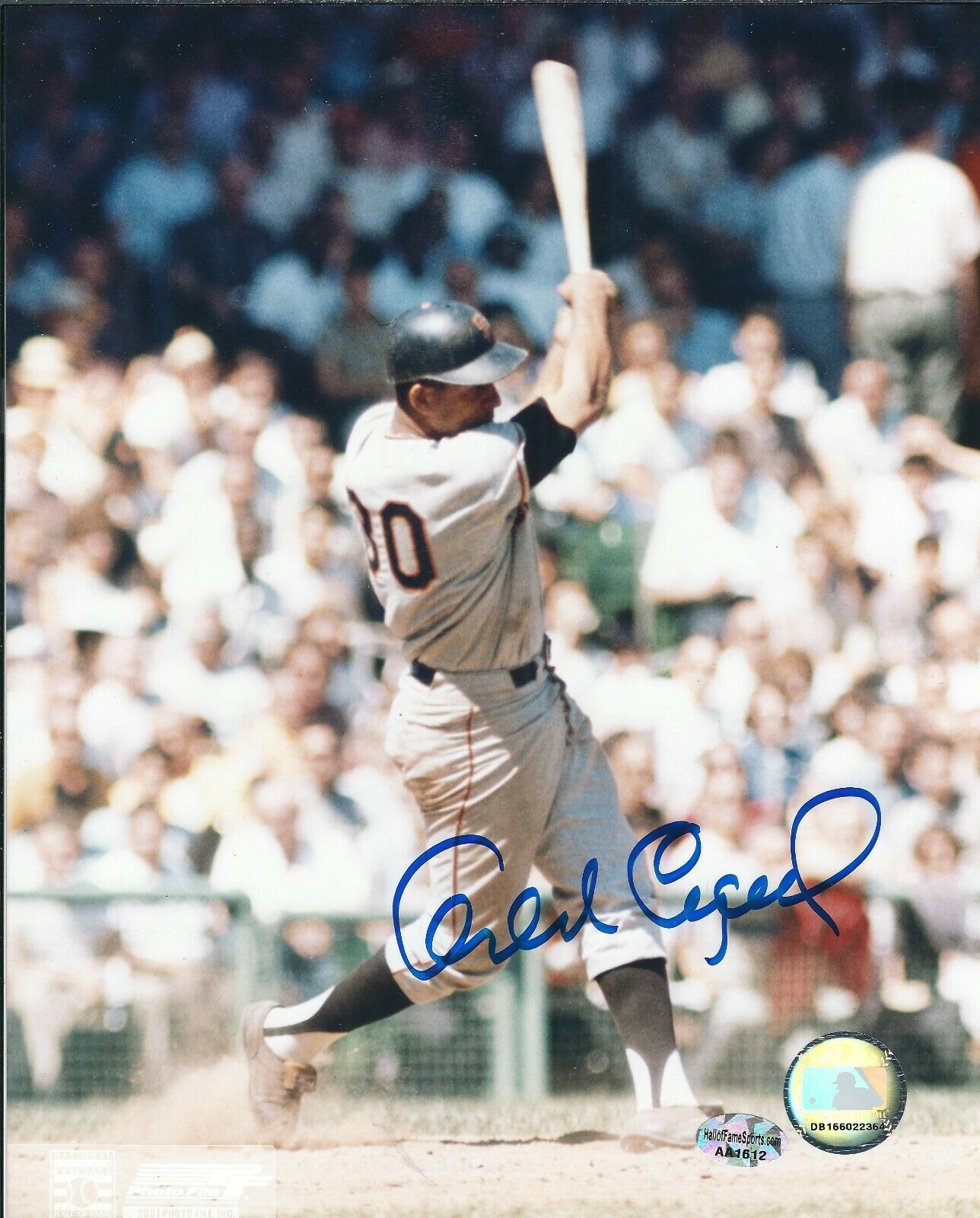 Signed 8x10 ORLANDO CEPEDA San Francisco Giants Photo Poster painting - COA