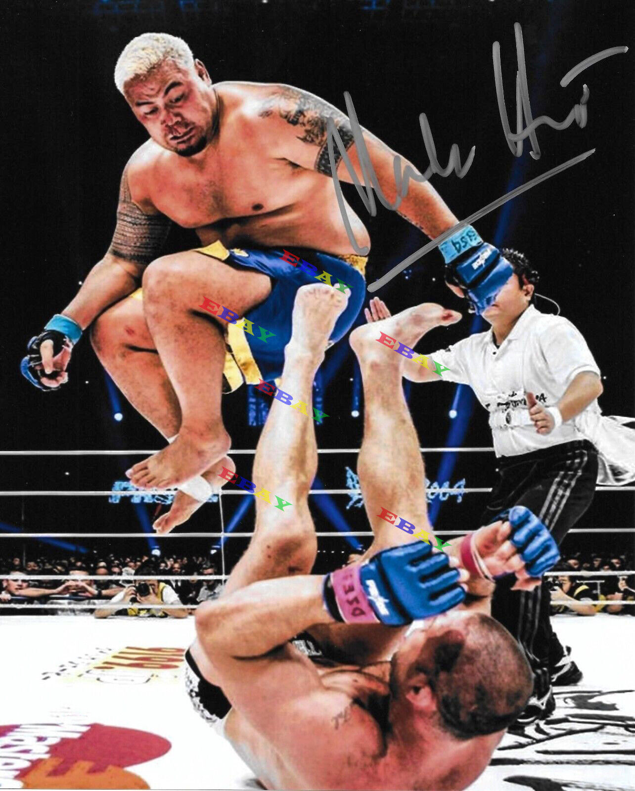 Mark Hunt UFC Signed Autographed 8x10 Photo Poster painting Reprint