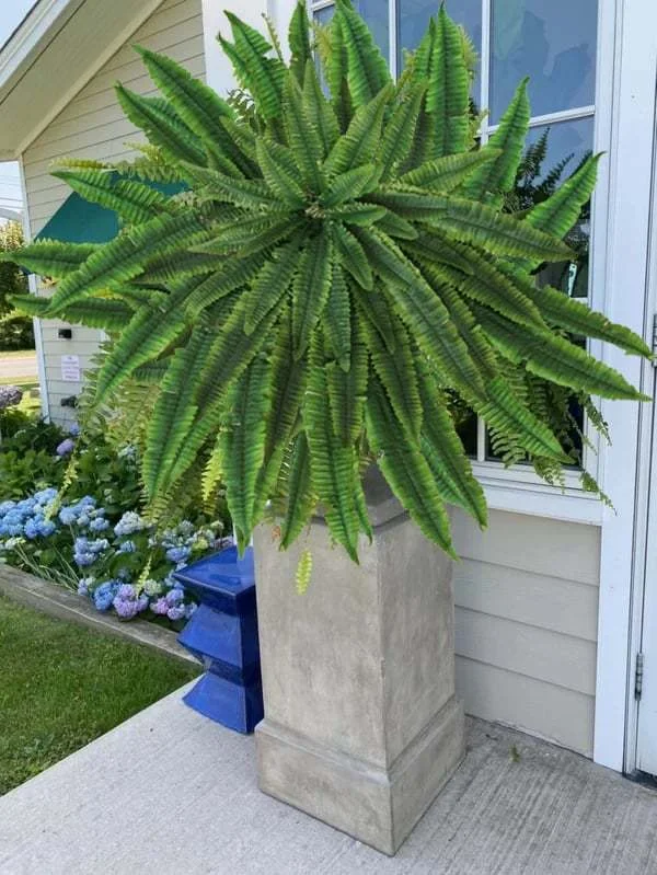 🔥 New Year's Celebration Exclusive! 🌿Get the UV-Resistant Lifelike Artificial Boston Fern for Just $9.98 🎁 SAVE 75%!