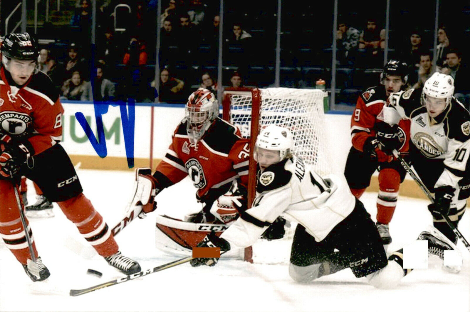 Nikita Alexandrov SIGNED 4x6 Photo Poster painting CHARLOTTETOWN ISLANDERS / ST LOUIS BLUES #2