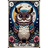 Diamond Painting -DIY Round Partial AB Drill Owl(45x65cm)