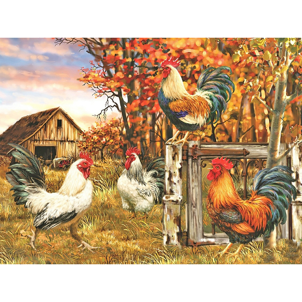 

Chicken - Round Drill Diamond Painting - 40*30CM, 501 Original