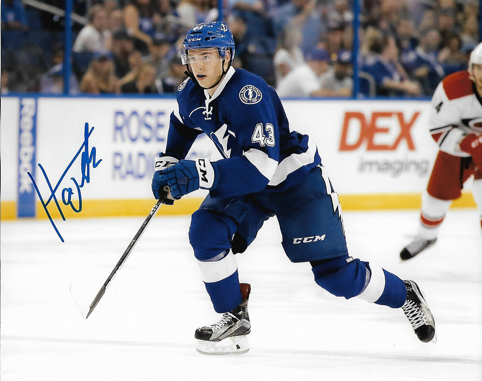 Tampa Bay Lightning Libor Hajek Autographed Signed 8x10 Photo Poster painting COA A