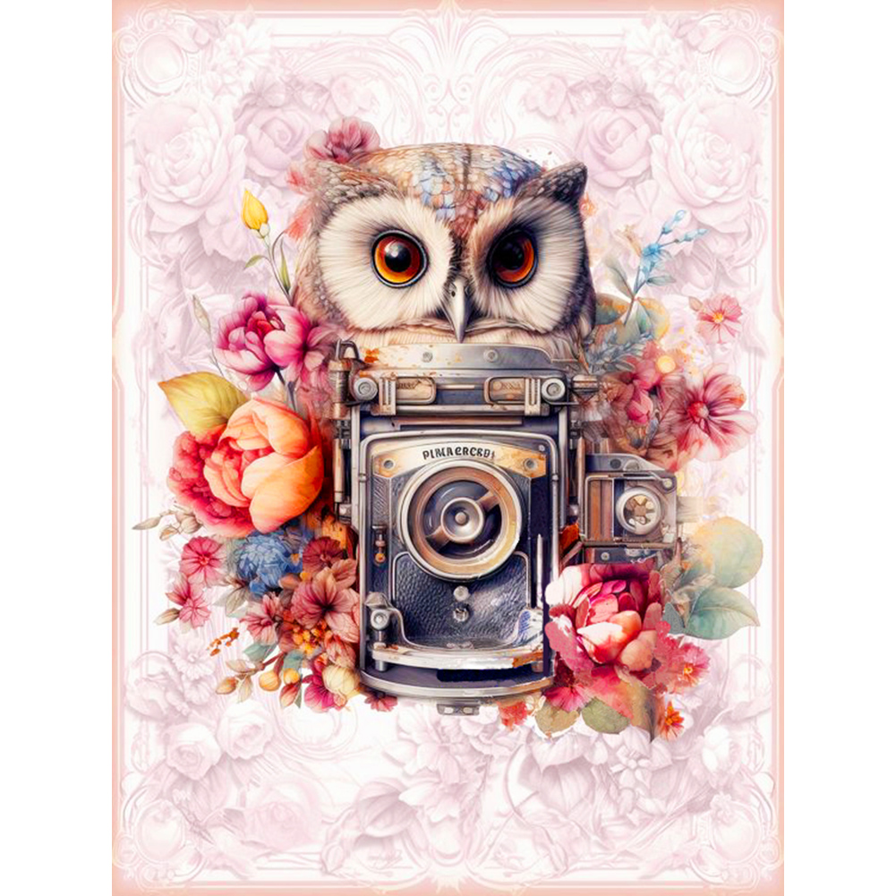 Owl With Camera 30*40CM(Canvas) Full Round Drill Diamond Painting gbfke
