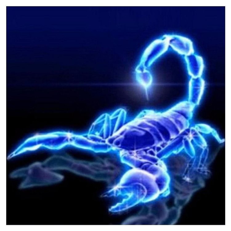 Scorpion - Round Drill Diamond Painting - 30x30cm(Canvas)