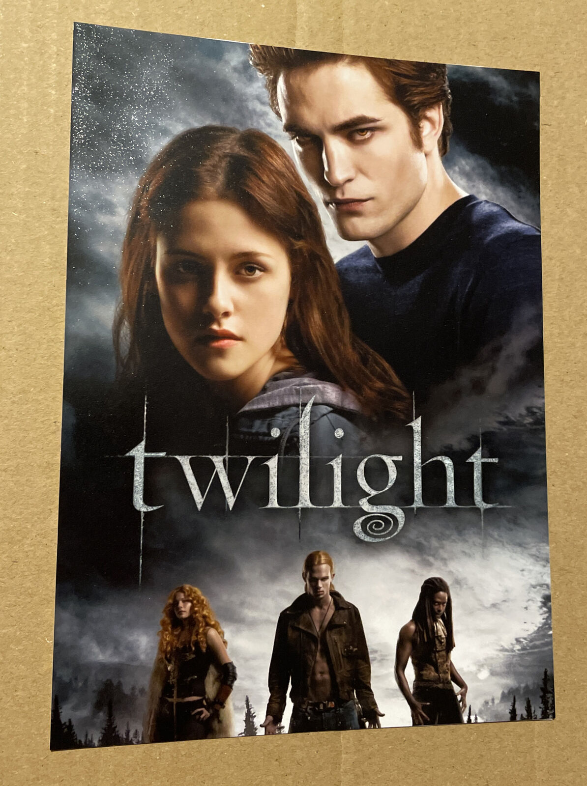 Catherine Hardwicke Twilight Signed 7x5 Photo Poster painting Autograph Signed On Back Director