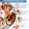 Interactive Dog Toys Plush Dog Toy Squeaky Crazy Bouncer Ball for Small and Medium Puppy to Self Play