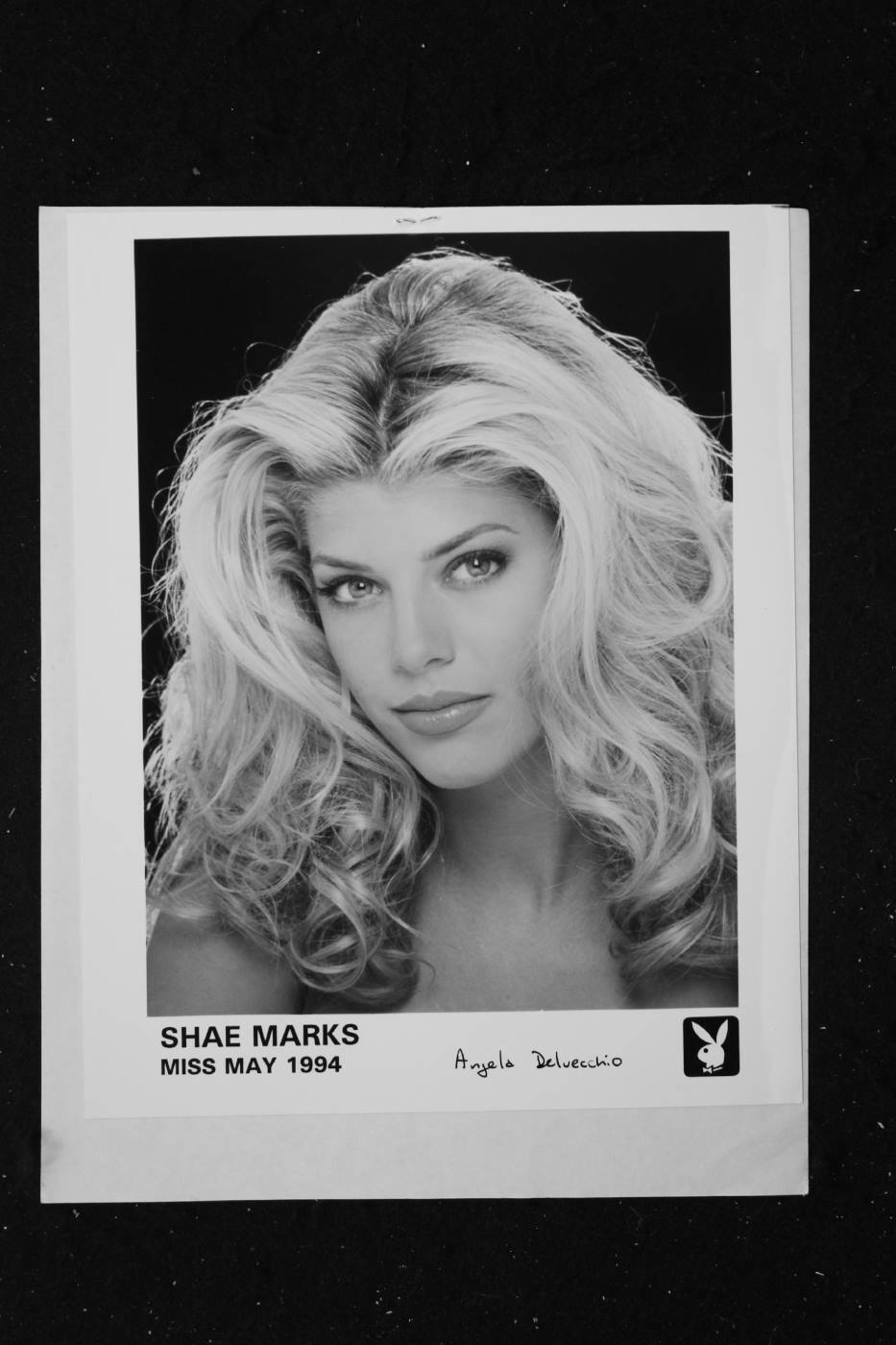 Shae Marks - 8x10 Headshot Photo Poster painting w/ Resume - Playboy Plamate