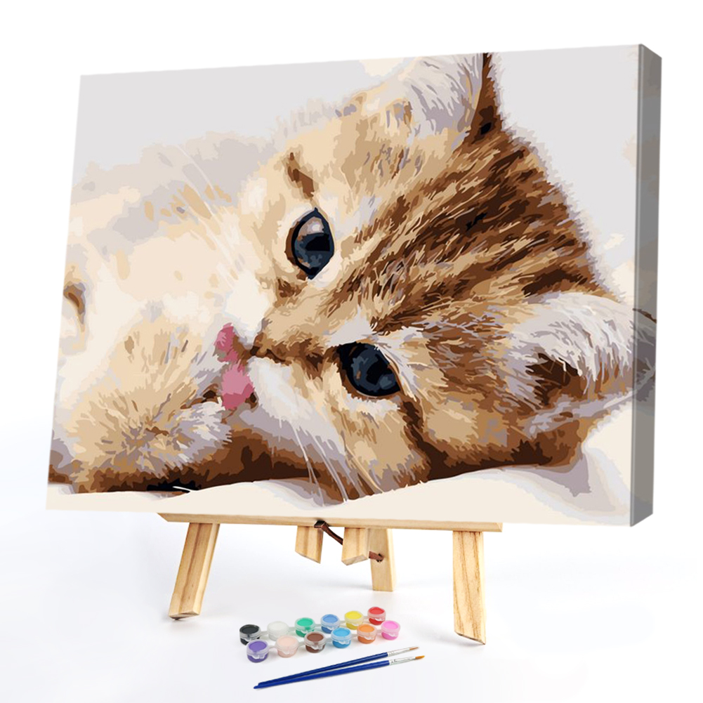 

40x50cm - Paint By Numbers Cat, 501 Original