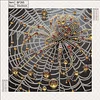 Diamond Painting-DIY Crystal Rhinestone Spider
