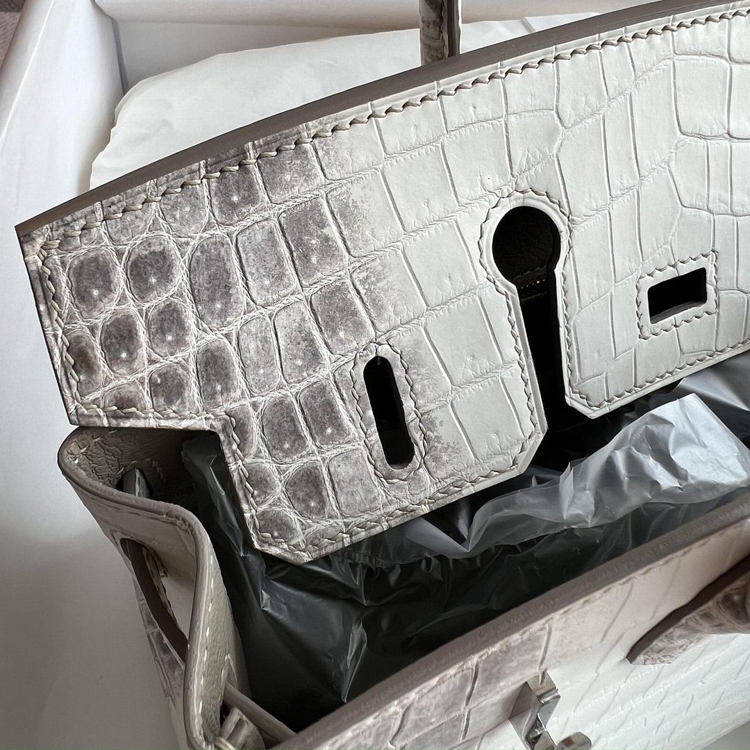 Birkin 25cm Matte Niloticus Crocodile  01 Himalaya PHW