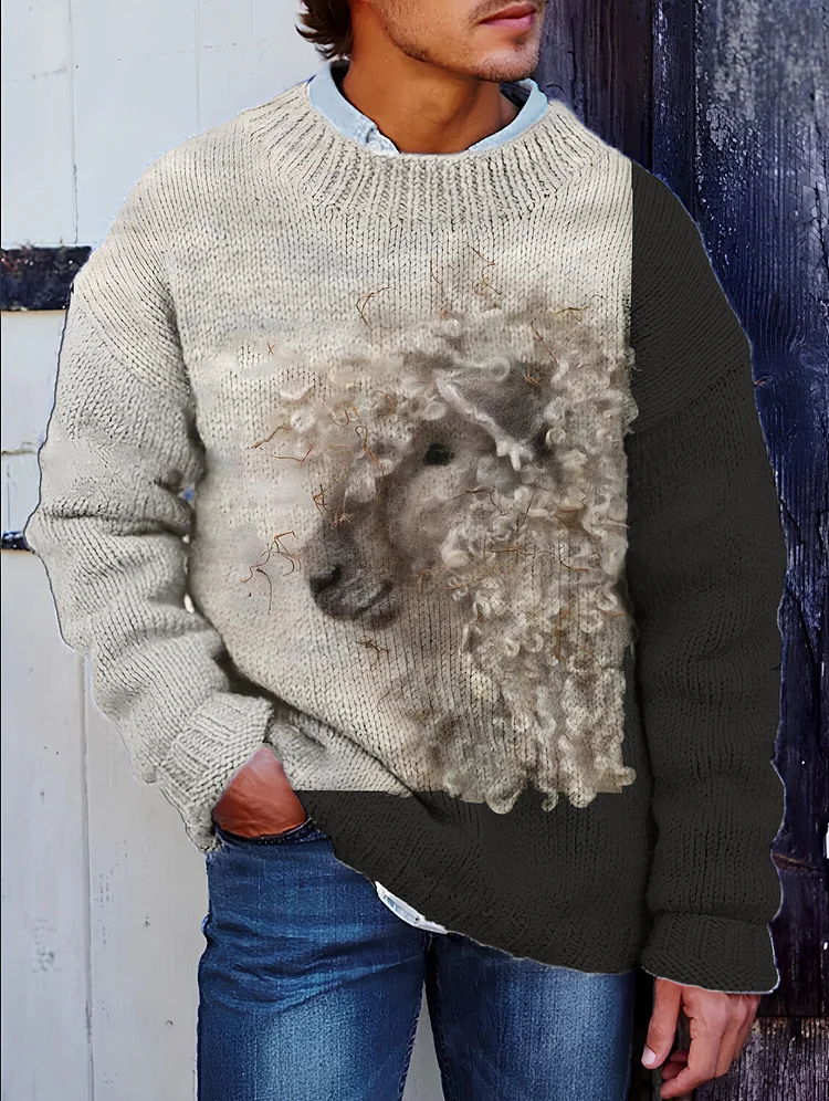 Men's 3D Wool Felt Print Knit Sweatshirt