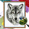 Wolf - 9CT Partial Beaded Cross Stitch Kit(28x34cm)