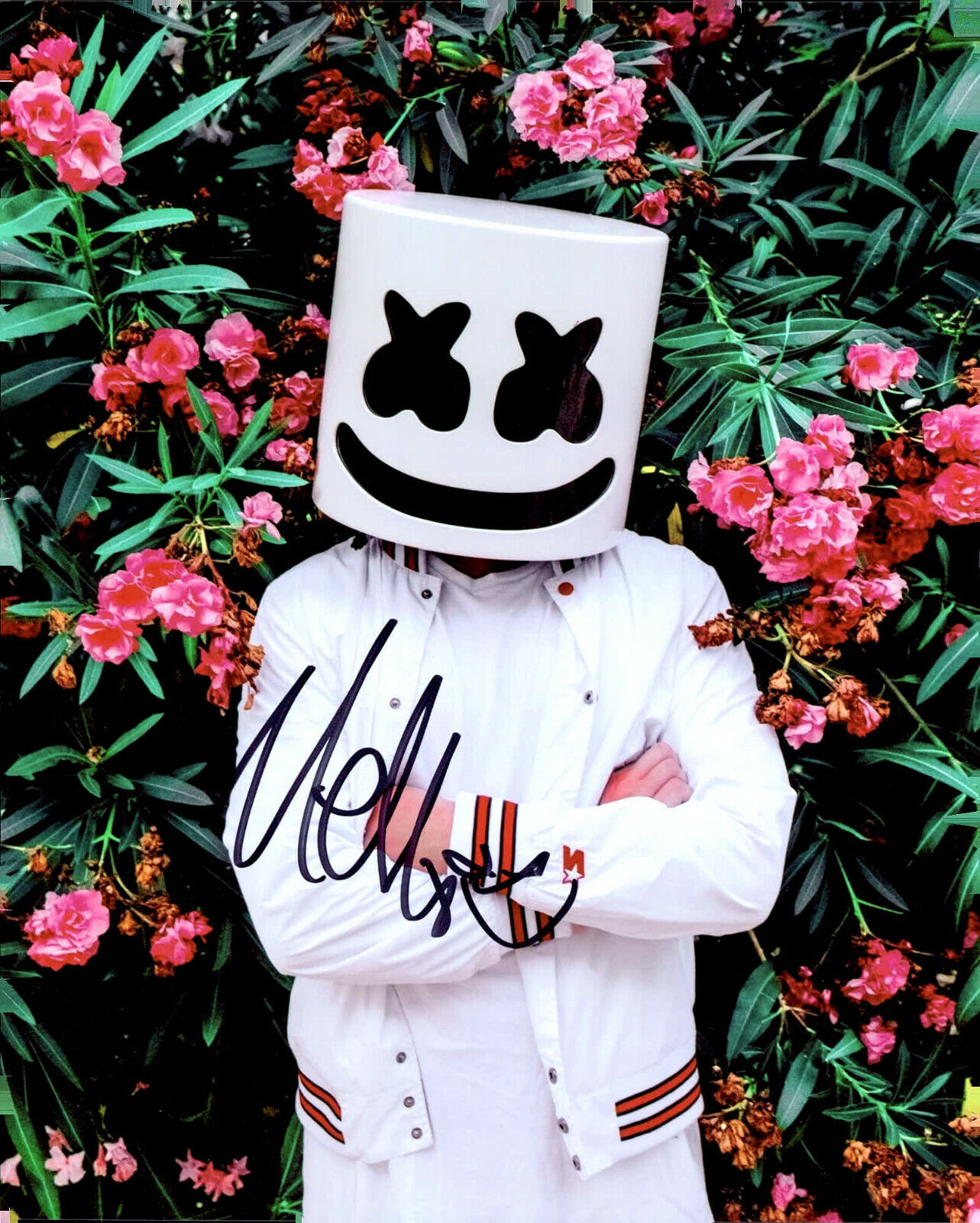 Marshmello (Christopher Comstock) signed 8x10 Photo Poster painting In-person