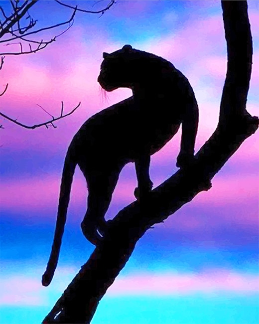 

Tiger Silhouette – Paint By Numbers - 40*50CM, 501 Original
